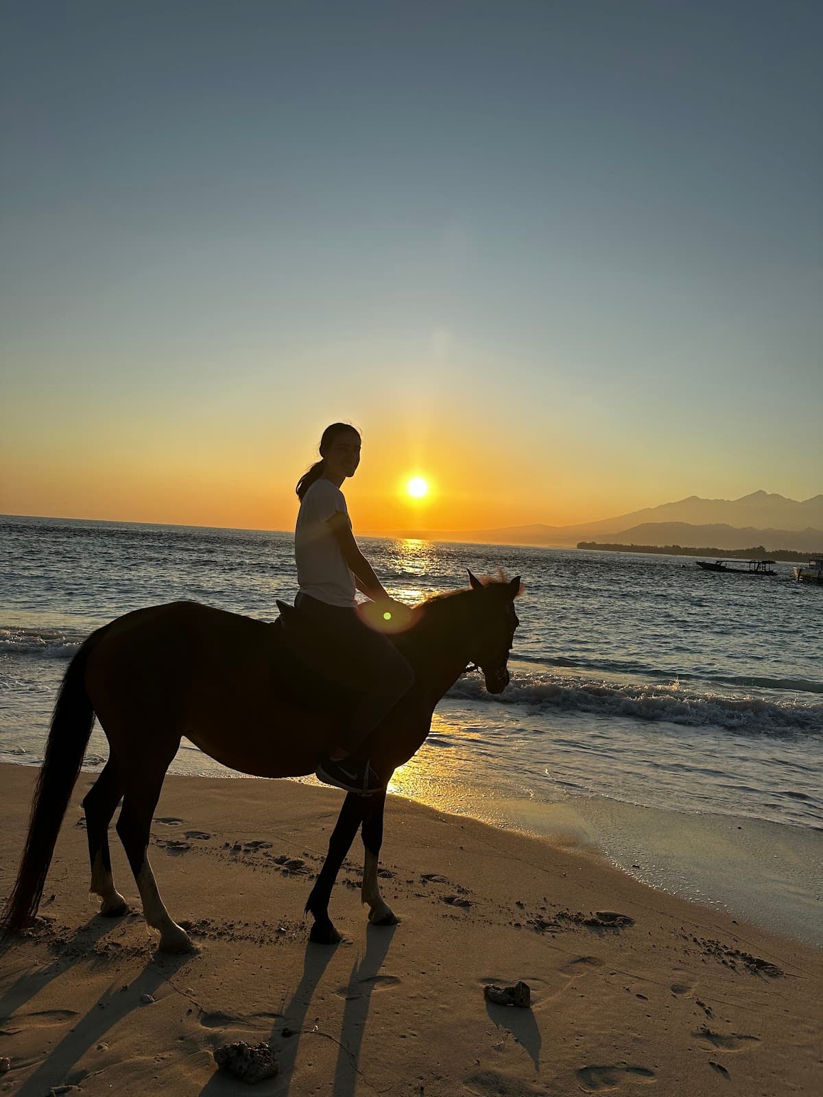 Horse stables