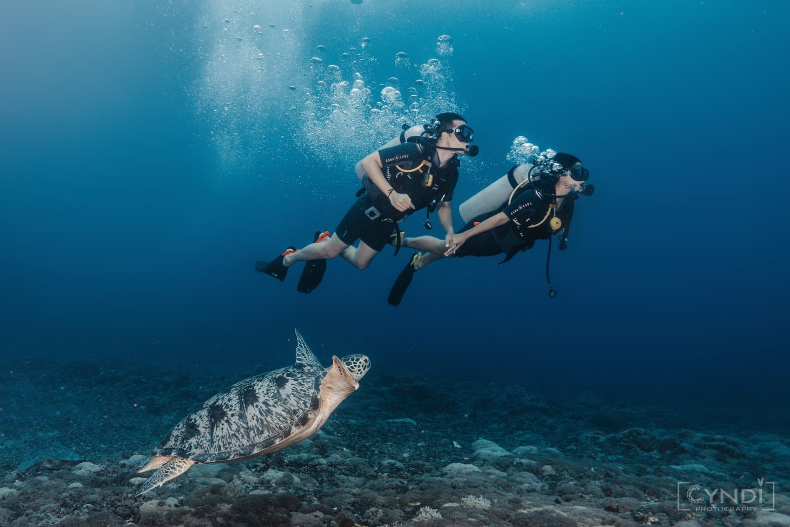 Blue Marlin Dive Bar